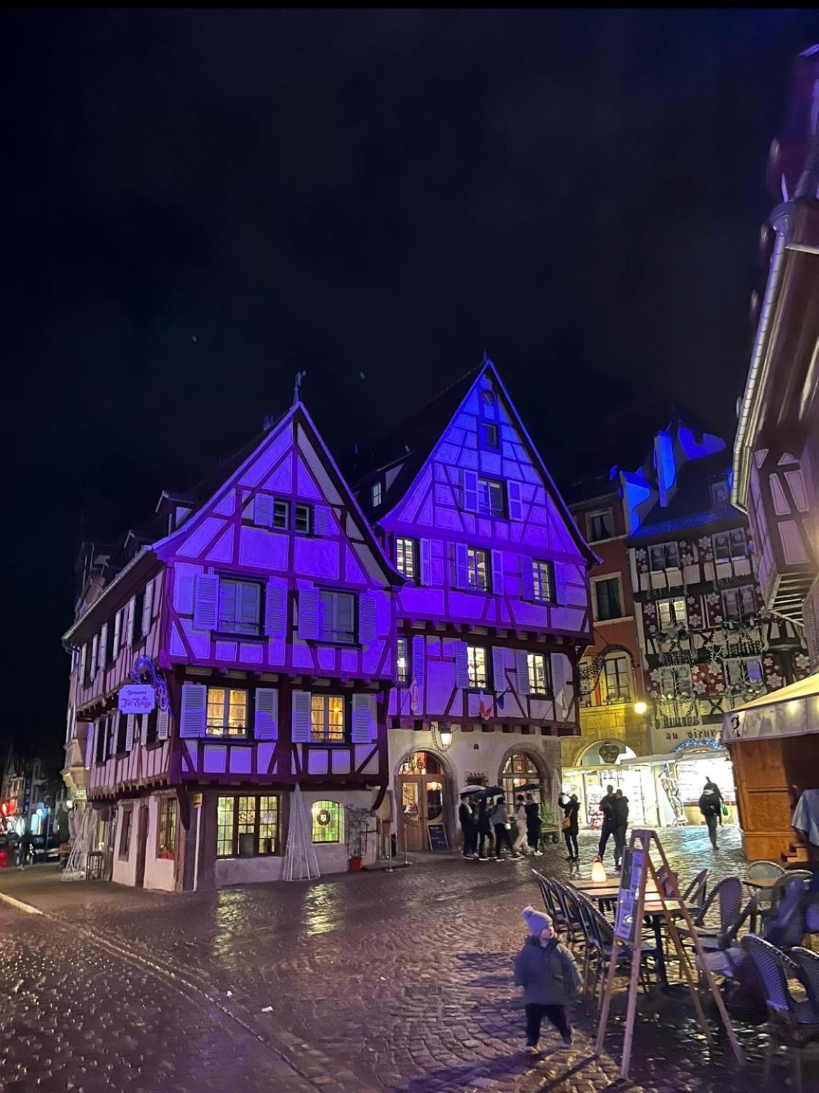 Le Venise, Parking Prive, Neuf & Spacieux Colmar Eksteriør bilde